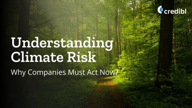 Understanding Climate Risks
