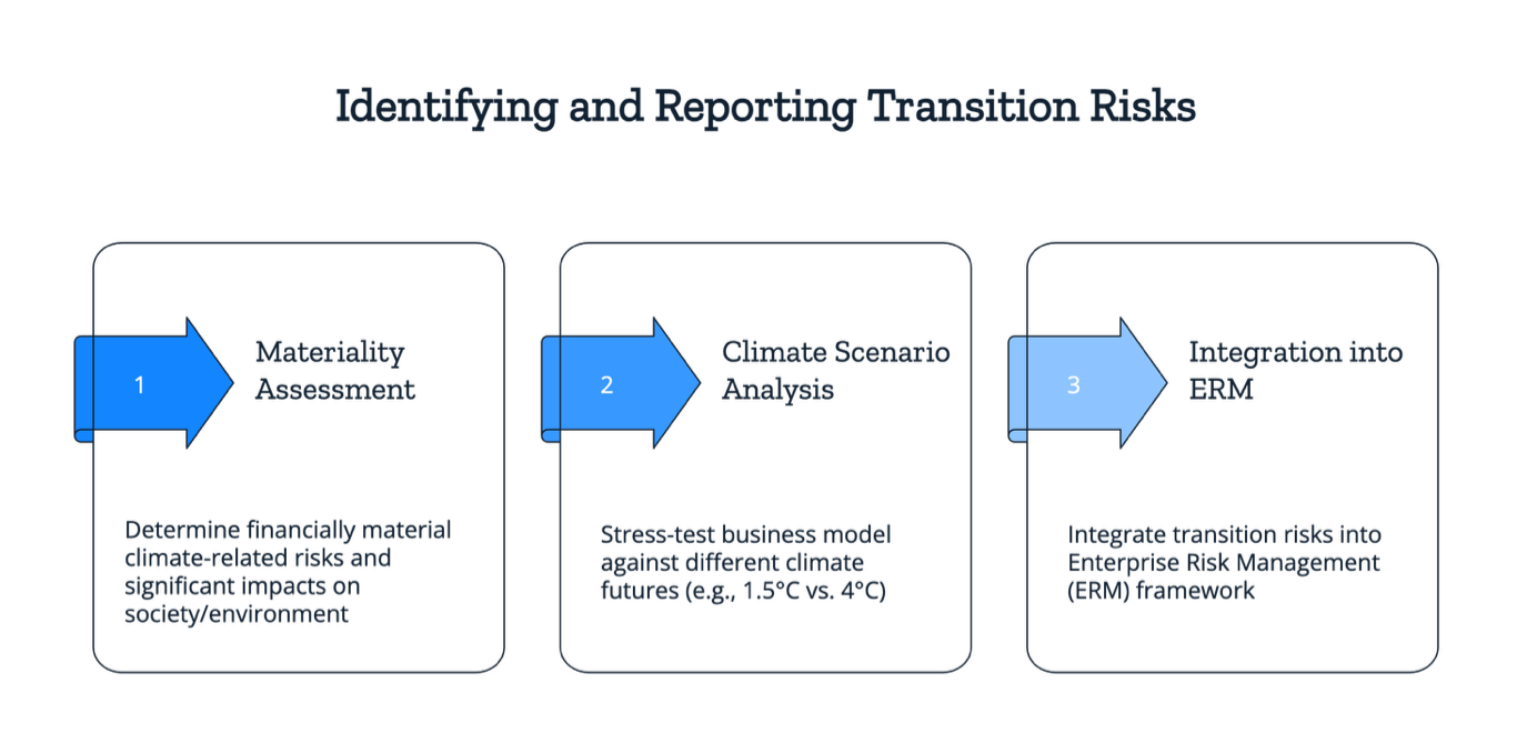 Identifying & reporting transition risks